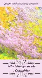 Baixar Pemberley Interludes: The Darcys at the Assemblies (English Edition) pdf, epub, eBook