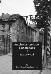 Baixar Auschwitz stamlager a photobook of Auschwitz I: Photos showing the concentration camp (English Edition) pdf, epub, eBook