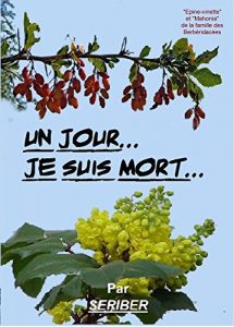 Baixar Un jour… je suis mort (French Edition) pdf, epub, eBook
