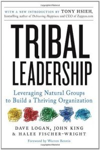 Baixar Tribal Leadership: Leveraging Natural Groups to Build a Thriving Organization pdf, epub, eBook