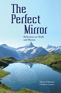 Baixar The Perfect Mirror: Reflections on Truth and Illusion (English Edition) pdf, epub, eBook