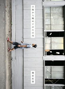 Baixar HIKAGEKARANAGAMETEMITAHINATA (SHINO PABULISSHING) (Japanese Edition) pdf, epub, eBook