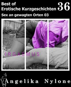 Baixar Erotische Kurzgeschichten – Best of 36: Sex an gewagten Orten 04 (German Edition) pdf, epub, eBook