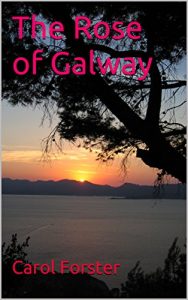 Baixar The Rose of Galway (English Edition) pdf, epub, eBook