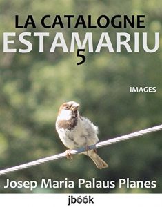 Baixar LA CATALOGNE: ESTAMARIU [5] (French Edition) pdf, epub, eBook
