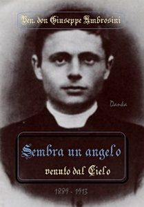 Baixar Sembra un angelo venuto dal Cielo: Vita e memorie del ven. don Giuseppe Ambrosini (Via Pulchritudinis) (Italian Edition) pdf, epub, eBook