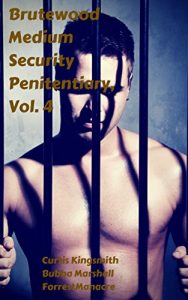 Baixar Brutewood Medium Security Penitentiary, Vol. 4: Hardcore Gay Prison Erotica Bundle (The Best of Brutewood) (English Edition) pdf, epub, eBook