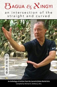 Baixar Bagua and Xingyi: An Intersection of the Straight and Curved (English Edition) pdf, epub, eBook