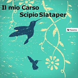 Baixar Il mio Carso pdf, epub, eBook
