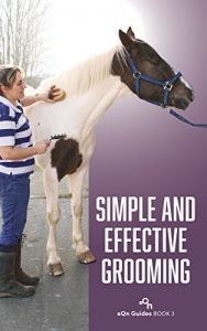 Baixar Simple and Effective Grooming: eQn Guides Book 3 (English Edition) pdf, epub, eBook