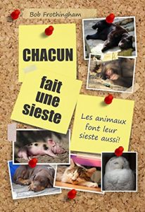 Baixar Chacun fait un sieste: Les animaux font leur sieste aussi! (French Edition) pdf, epub, eBook