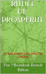 Baixar RITUEL D’ARGENT: EN SEULEMENT CINQ MINUTES CHRONO (French Edition) pdf, epub, eBook