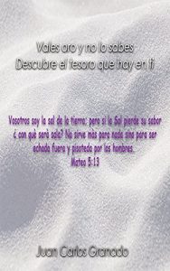Baixar Vales oro y no lo Sabes: Descubre el tesoro que hay en ti (Spanish Edition) pdf, epub, eBook