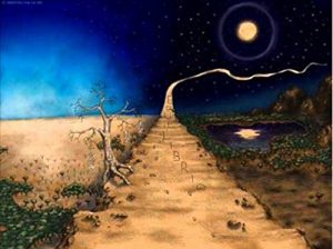 Baixar EQUILIBRIO: come canalizzare le proprie energie (Italian Edition) pdf, epub, eBook