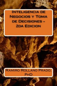 Baixar Inteligencia de Negocios y Toma de Decisiones – 2da Edicion (Spanish Edition) pdf, epub, eBook