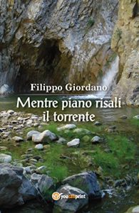 Baixar Mentre piano risali il torrente pdf, epub, eBook