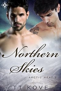 Baixar Northern Skies (Arctic Heat Book 2) (English Edition) pdf, epub, eBook