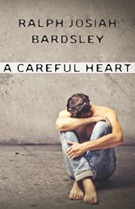 Baixar A Careful Heart (English Edition) pdf, epub, eBook