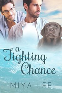 Baixar A Fighting Chance: A Second Chance Romance (Wild Heart Book 1) (English Edition) pdf, epub, eBook