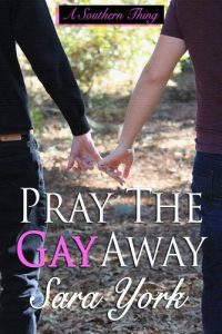 Baixar Pray The Gay Away (A Southern Thing Book 1) (English Edition) pdf, epub, eBook