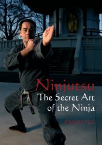 Baixar Ninjutsu: The Secret Art of the Ninja pdf, epub, eBook