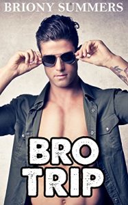 Baixar Bro Trip (MMMM Group Erotic Novella) (English Edition) pdf, epub, eBook