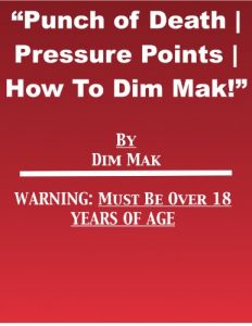 Baixar Punch of Death | Pressure Points | How to Dim Mak (English Edition) pdf, epub, eBook