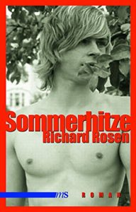 Baixar Sommerhitze (German Edition) pdf, epub, eBook