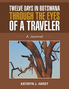 Baixar Twelve Days In Botswana Through the Eyes of a Traveler pdf, epub, eBook