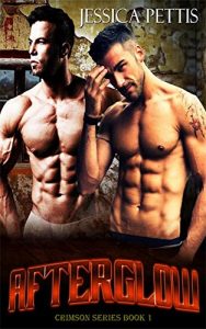 Baixar Afterglow (Crimson Series) (English Edition) pdf, epub, eBook