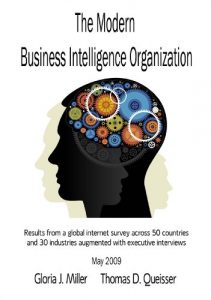 Baixar The Modern Business Intelligence Organization (English Edition) pdf, epub, eBook