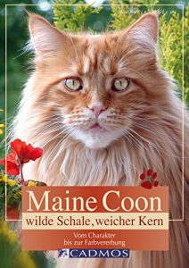 Baixar Maine Coon – Wilde Schale weicher Kern: Vom Charakter bis zur Farbvererbung (Katzen) (German Edition) pdf, epub, eBook