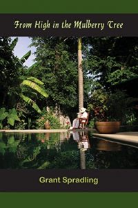 Baixar From High in the Mulberry Tree (English Edition) pdf, epub, eBook