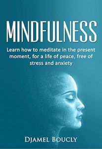 Baixar Mindfulness: Mindfulness for  beginners :   Learn how to meditate in the present moment for a life of peace, free of stress and anxiety (English Edition) pdf, epub, eBook
