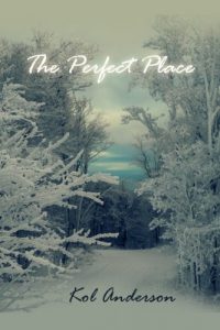 Baixar The Perfect Place (English Edition) pdf, epub, eBook