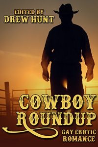 Baixar Cowboy Roundup (English Edition) pdf, epub, eBook