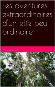 Baixar Les aventures extraordinaires d’un elfe peu ordinaire (French Edition) pdf, epub, eBook
