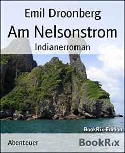 Baixar Am Nelsonstrom: Indianerroman (German Edition) pdf, epub, eBook