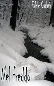 Baixar Nel freddo (Italian Edition) pdf, epub, eBook