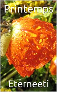 Baixar Printemps (Valse en quatre saisons t. 4) (French Edition) pdf, epub, eBook
