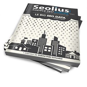 Baixar Le Big SEO Data didactique (Marketing Digital t. 2) (French Edition) pdf, epub, eBook