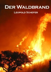 Baixar Der Waldbrand (German Edition) pdf, epub, eBook