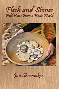 Baixar Flesh and Stones: Field Notes from a Finite World (English Edition) pdf, epub, eBook