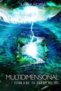 Baixar Multidimensional: Einblicke  in  andere Welten (German Edition) pdf, epub, eBook