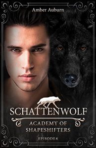 Baixar Schattenwolf, Episode 6 – Fantasy-Serie (Academy of Shapeshifters) (German Edition) pdf, epub, eBook