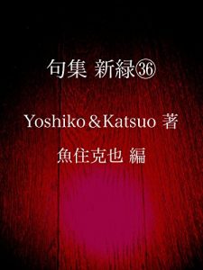 Baixar kushuu shinryoku sanjuuroku (Japanese Edition) pdf, epub, eBook