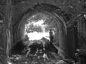 Baixar L’INCLINAZIONE NATURALE (Italian Edition) pdf, epub, eBook