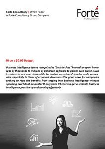 Baixar BI on a $0.99 Budget (English Edition) pdf, epub, eBook