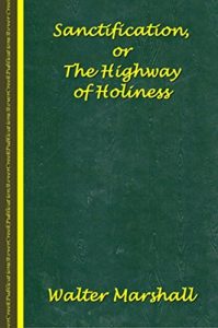 Baixar Sanctification or The Highway of Holiness (English Edition) pdf, epub, eBook