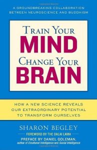 Baixar Train Your Mind, Change Your Brain: How a New Science Reveals Our Extraordinary Potential to Transform Ourselves pdf, epub, eBook